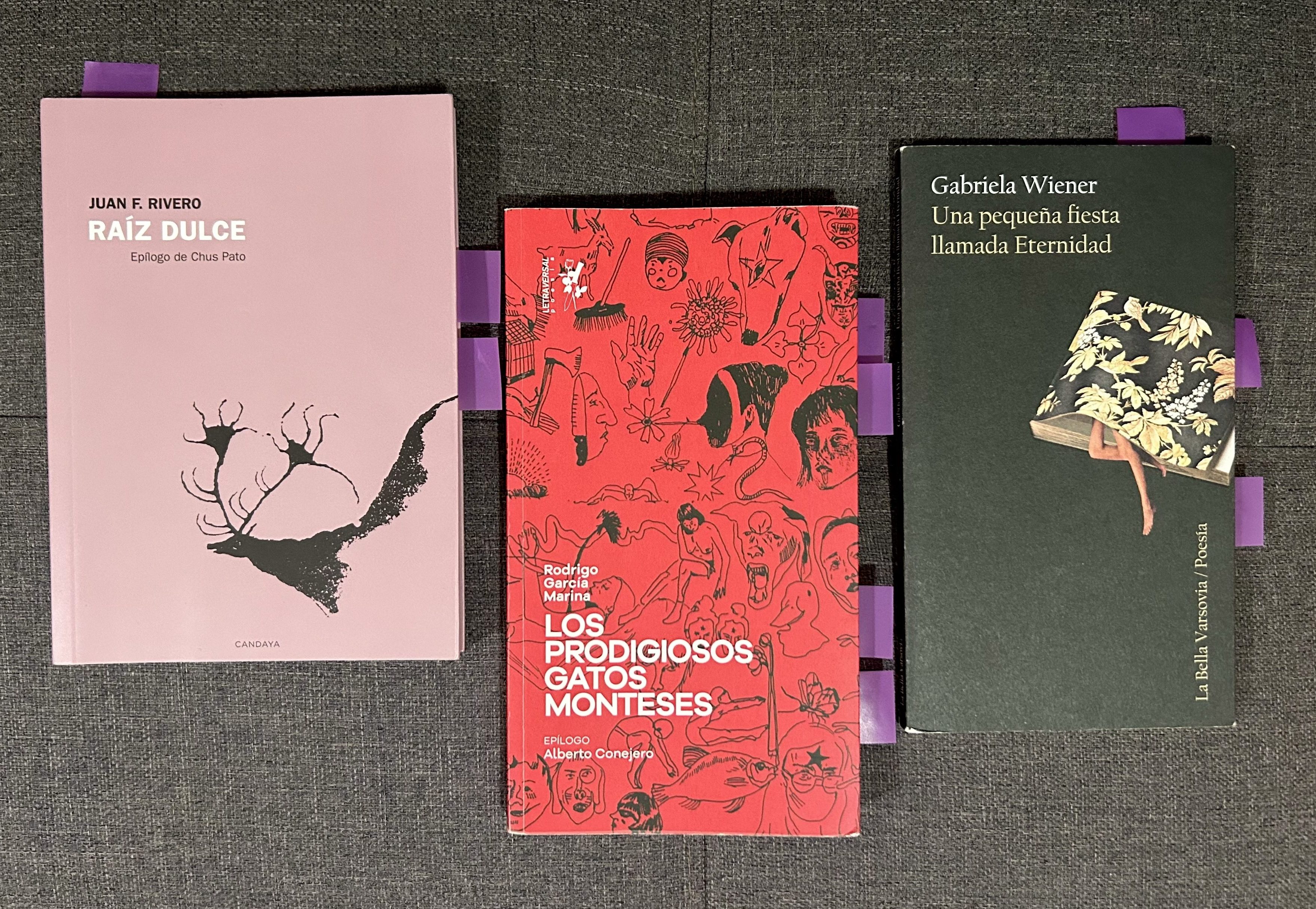 Ejemplares de los libros: "Raíz dulce", "Los prodigiosos gatos monteses" y "Una pequeña fiesta llamada Eternidad".